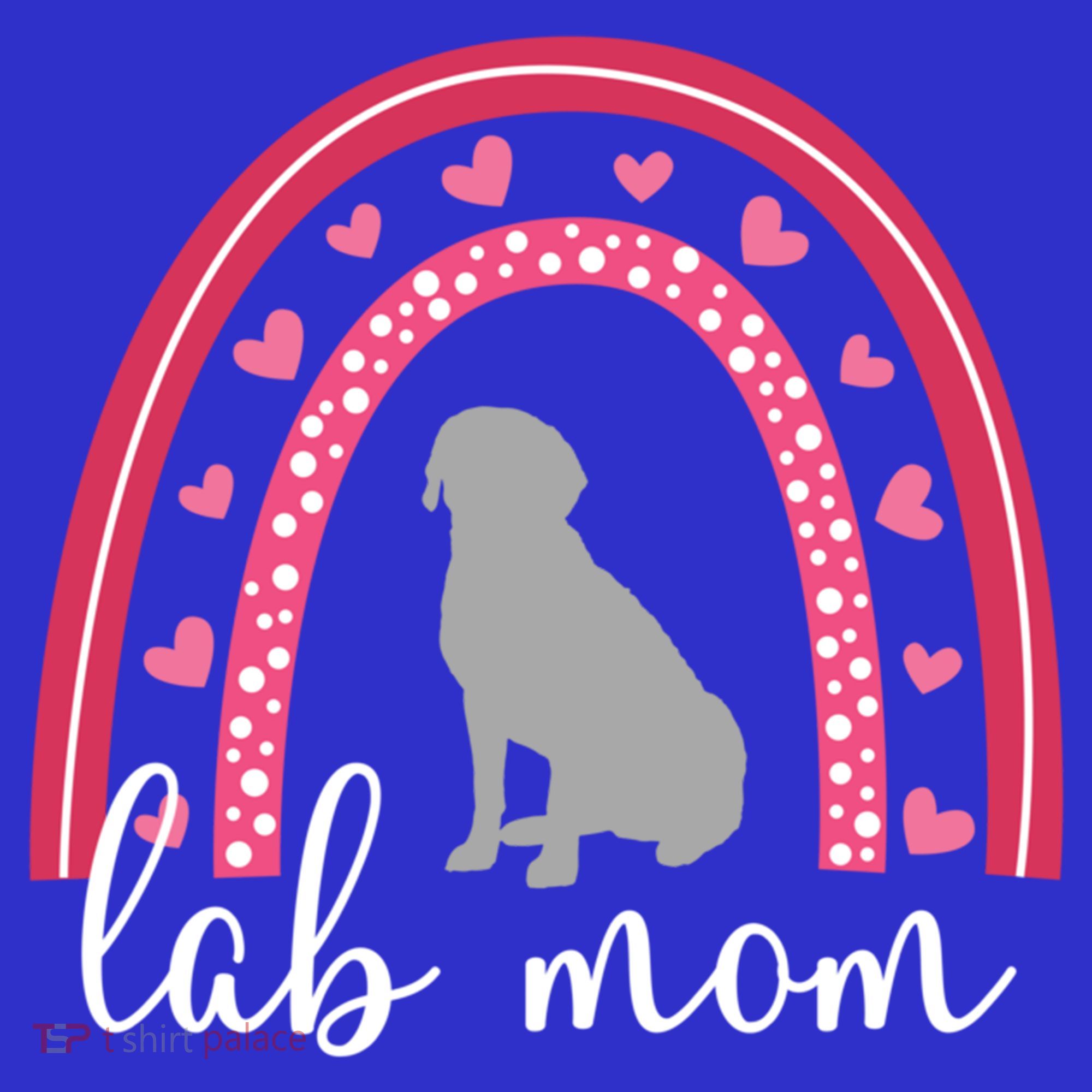 Silver Lab Mom ValentineS Day Labrador Rainbow Cool Gift Hoodie