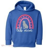 Silver Lab Mom ValentineS Day Labrador Rainbow Cool Gift Toddler Hoodie thumb 0