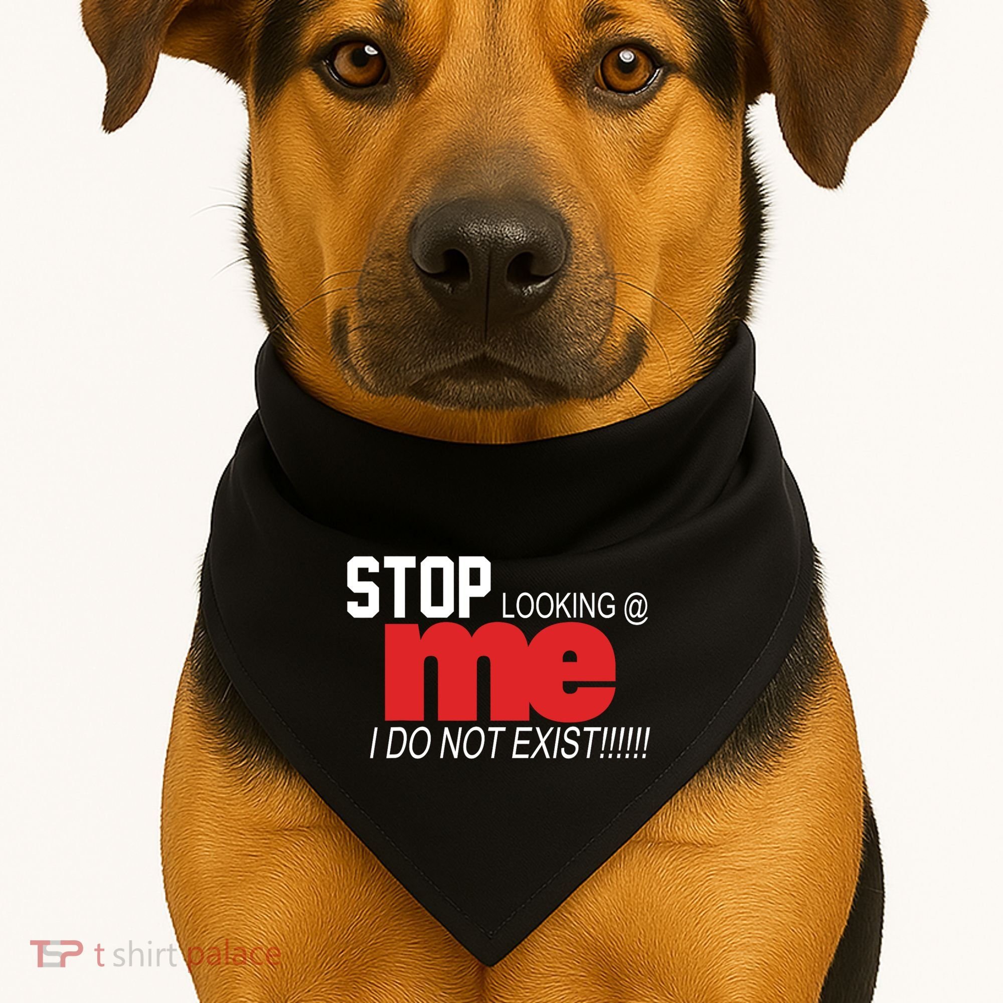 Stop Looking Me I Do Not Exist Funny Saying USA-Made Doggie Bandana