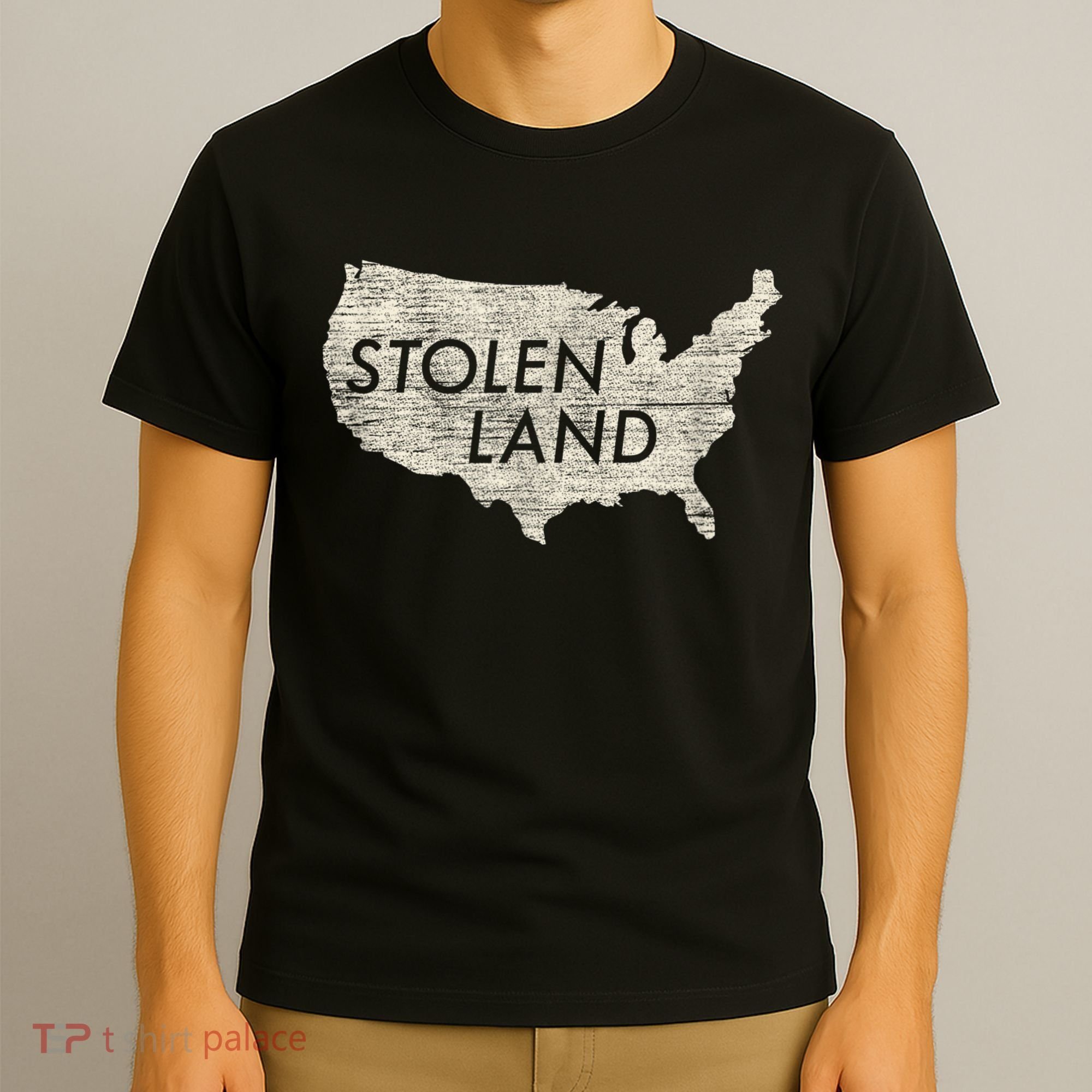 Stolen Land Native American Indigenous T-Shirt