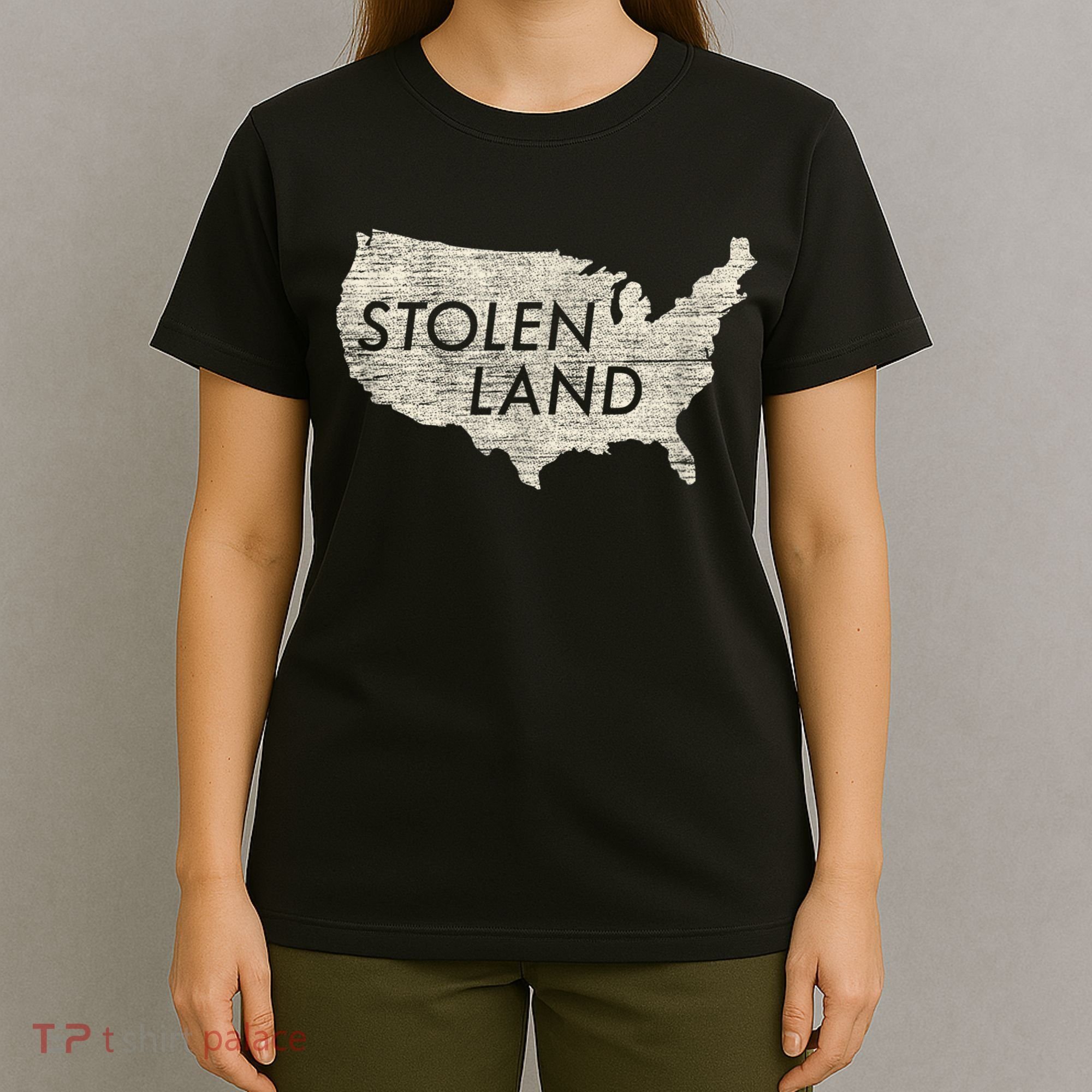 Stolen Land Native American Indigenous T-Shirt