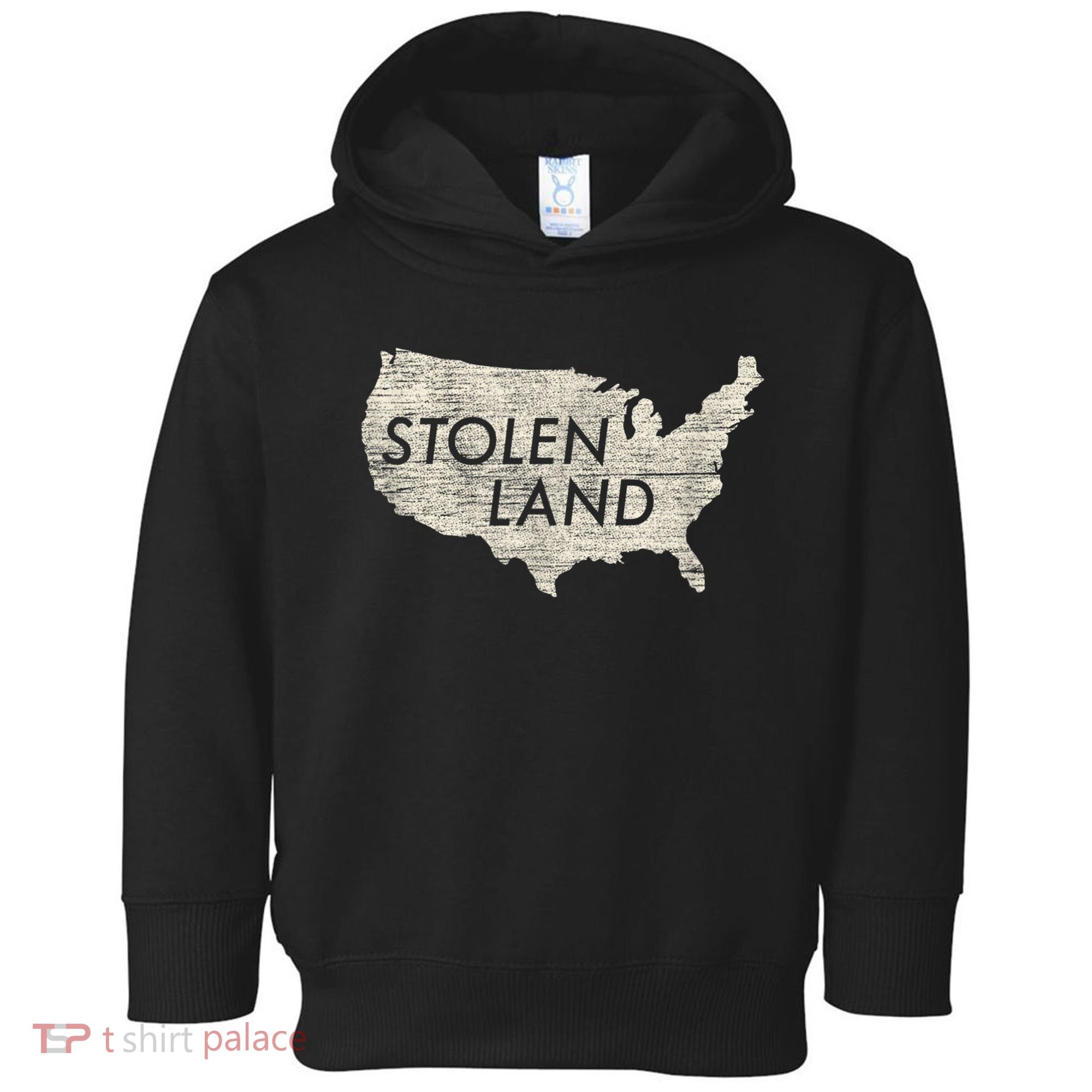 Stolen Land Native American Indigenous Toddler Hoodie