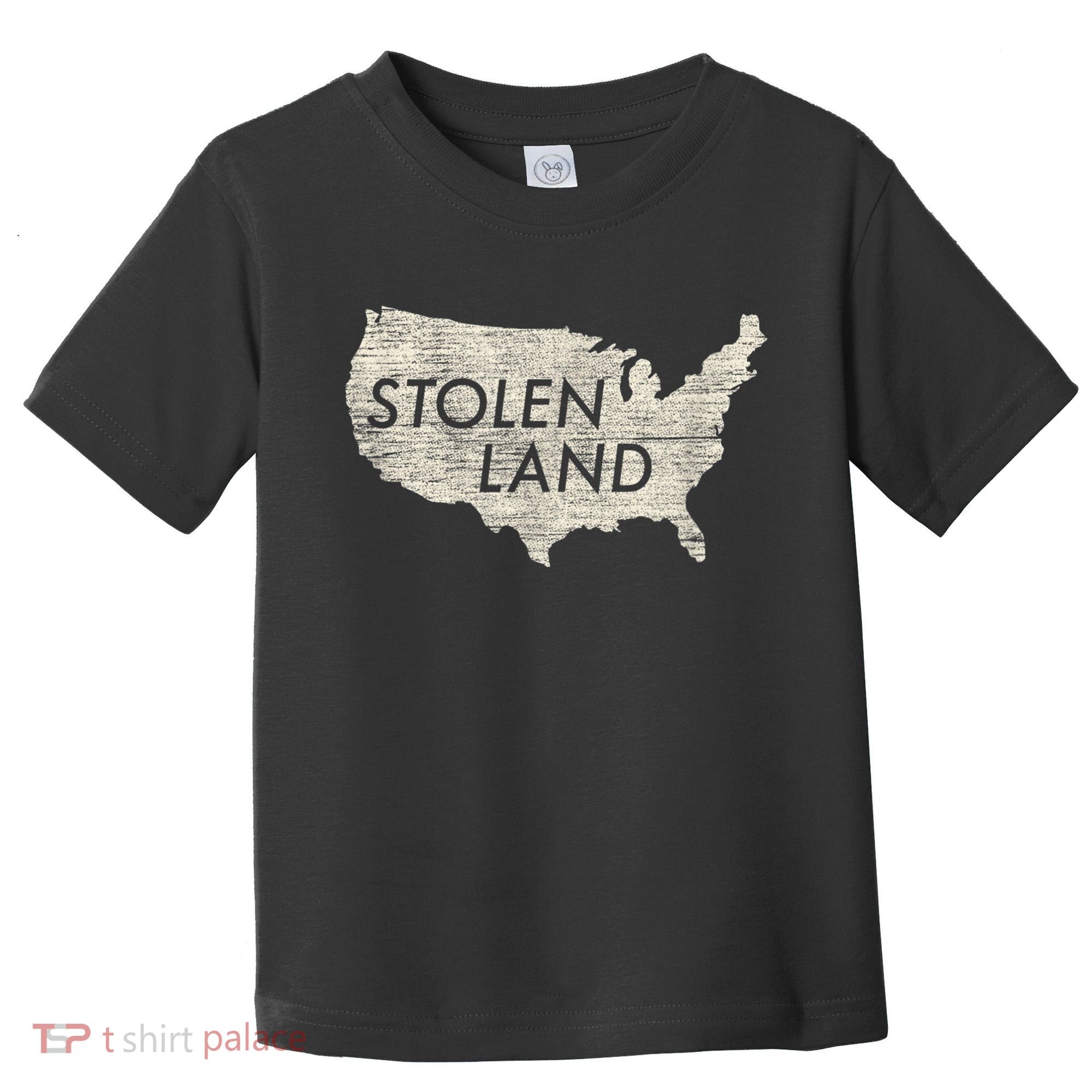 Stolen Land Native American Indigenous Toddler T-Shirt