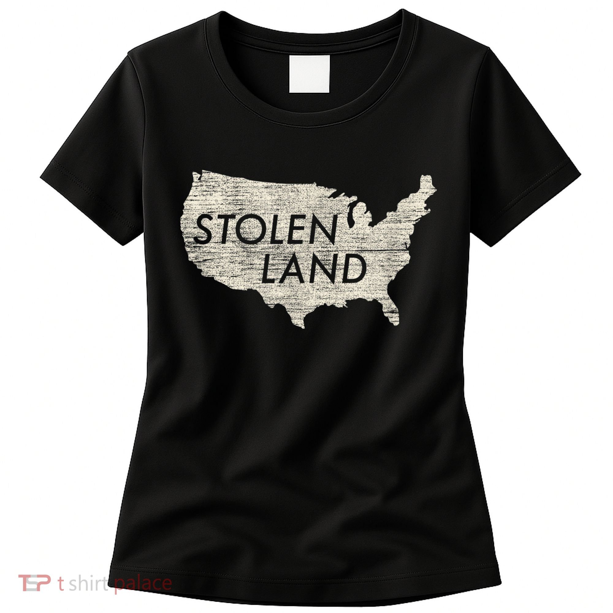 Stolen Land Native American Indigenous Women's T-Shirt