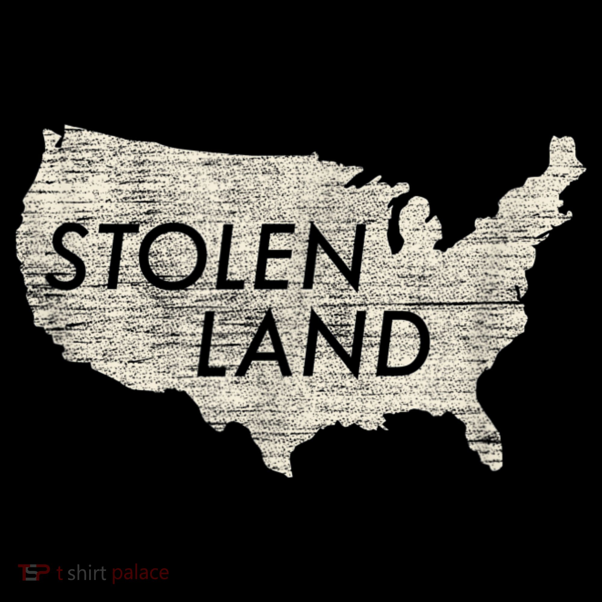 Stolen Land Native American Indigenous Women's T-Shirt
