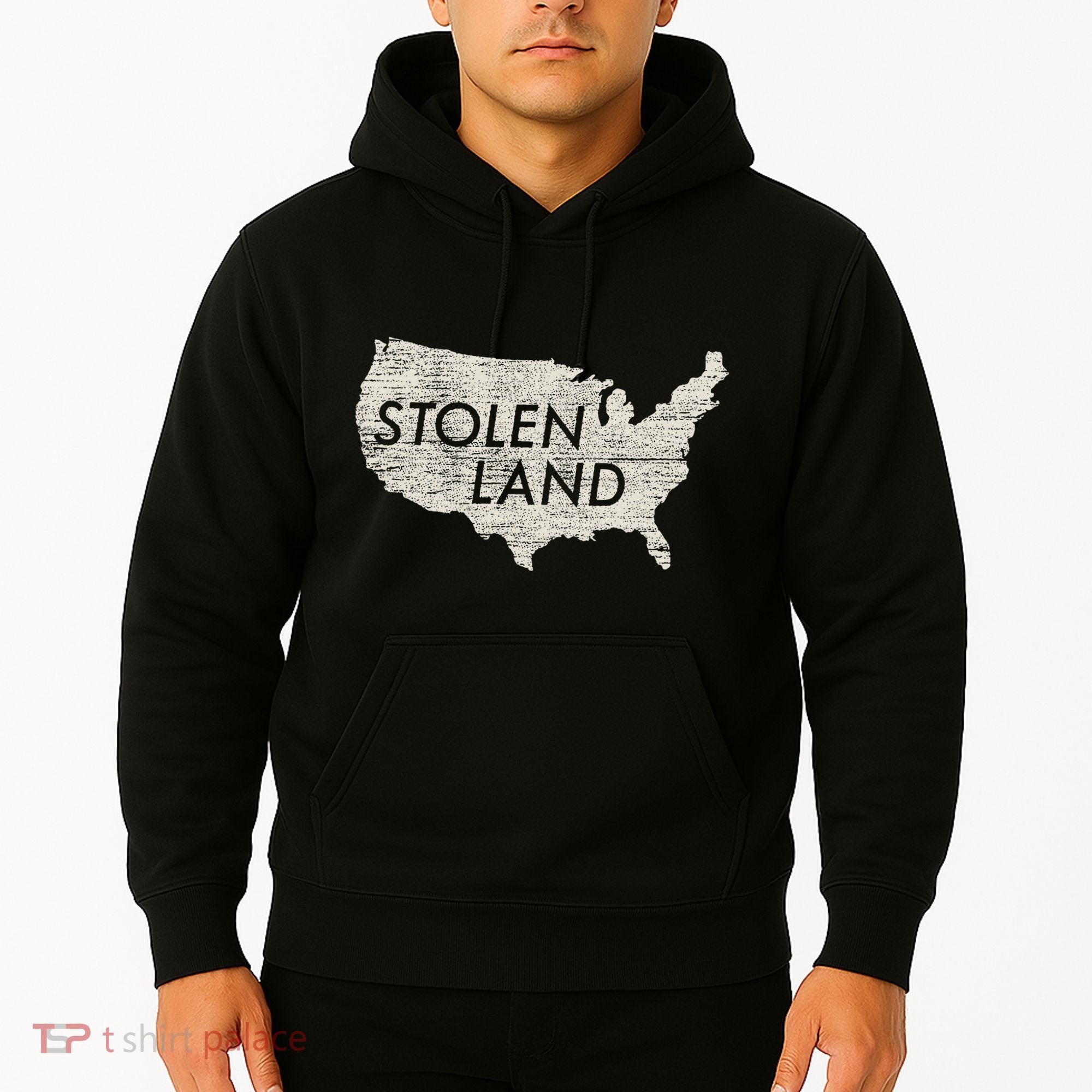 Stolen Land Native American Indigenous Hoodie