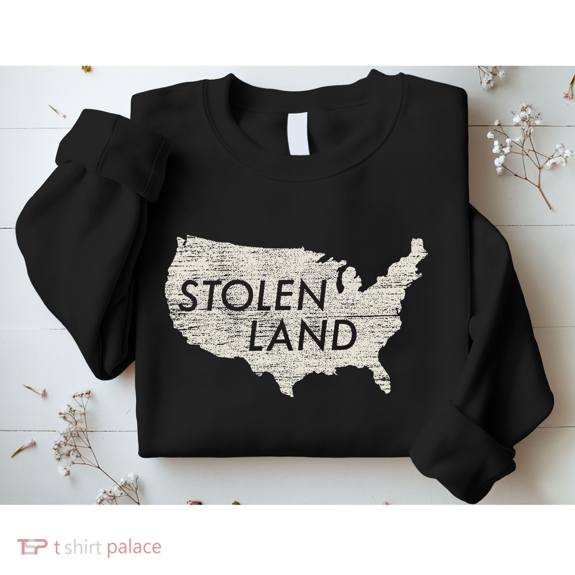 Stolen Land Native American Indigenous Sweatshirt