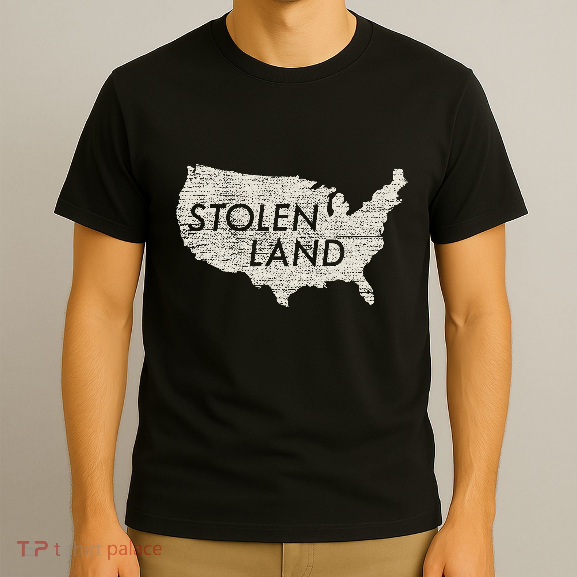 Stolen Land Native American Indigenous T-Shirt