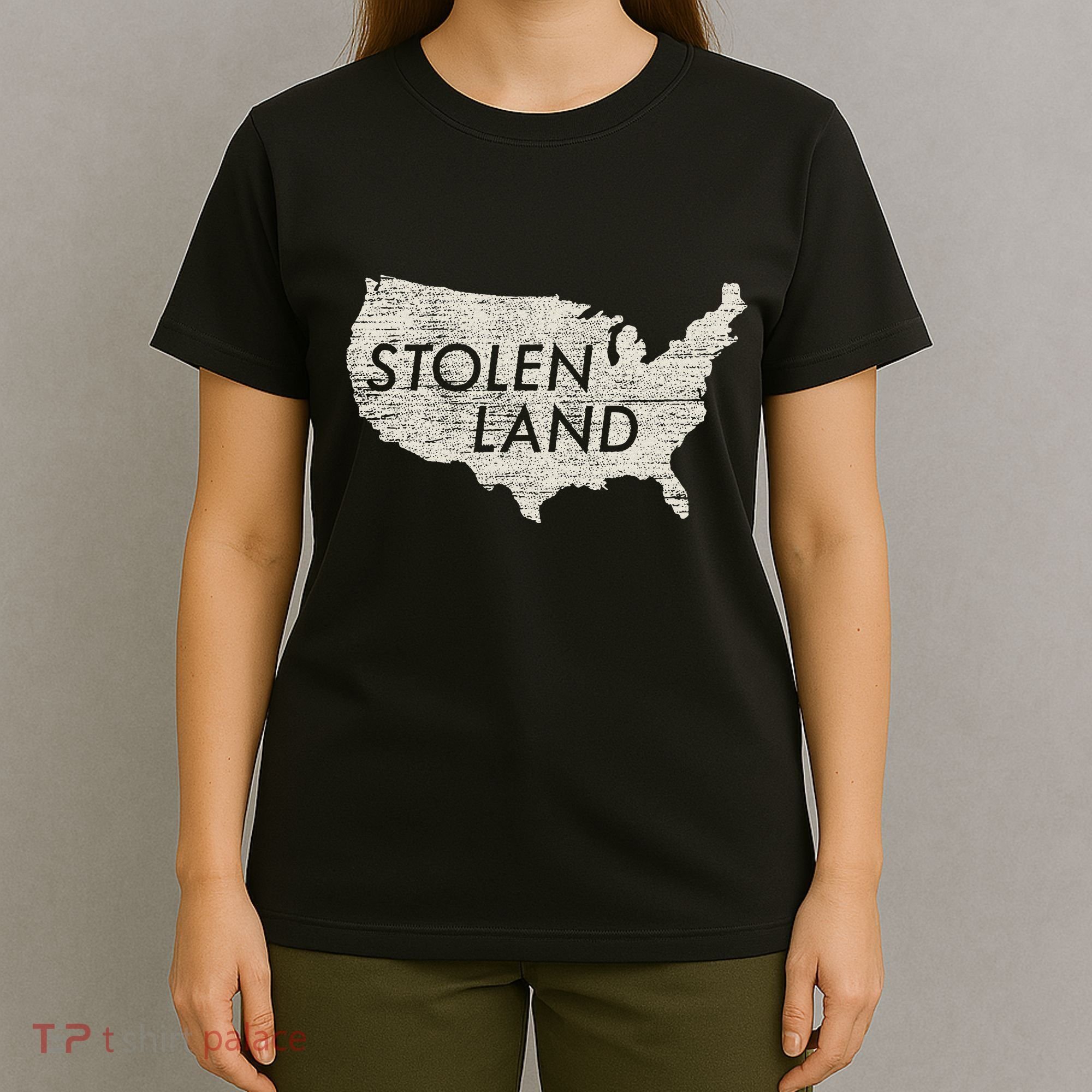 Stolen Land Native American Indigenous T-Shirt