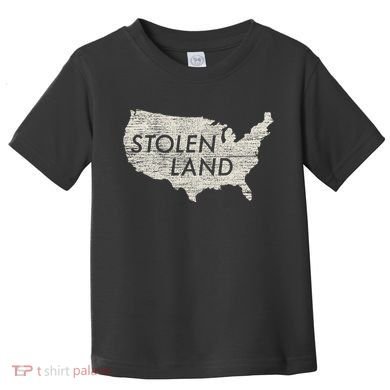 Stolen Land Native American Indigenous Toddler T-Shirt
