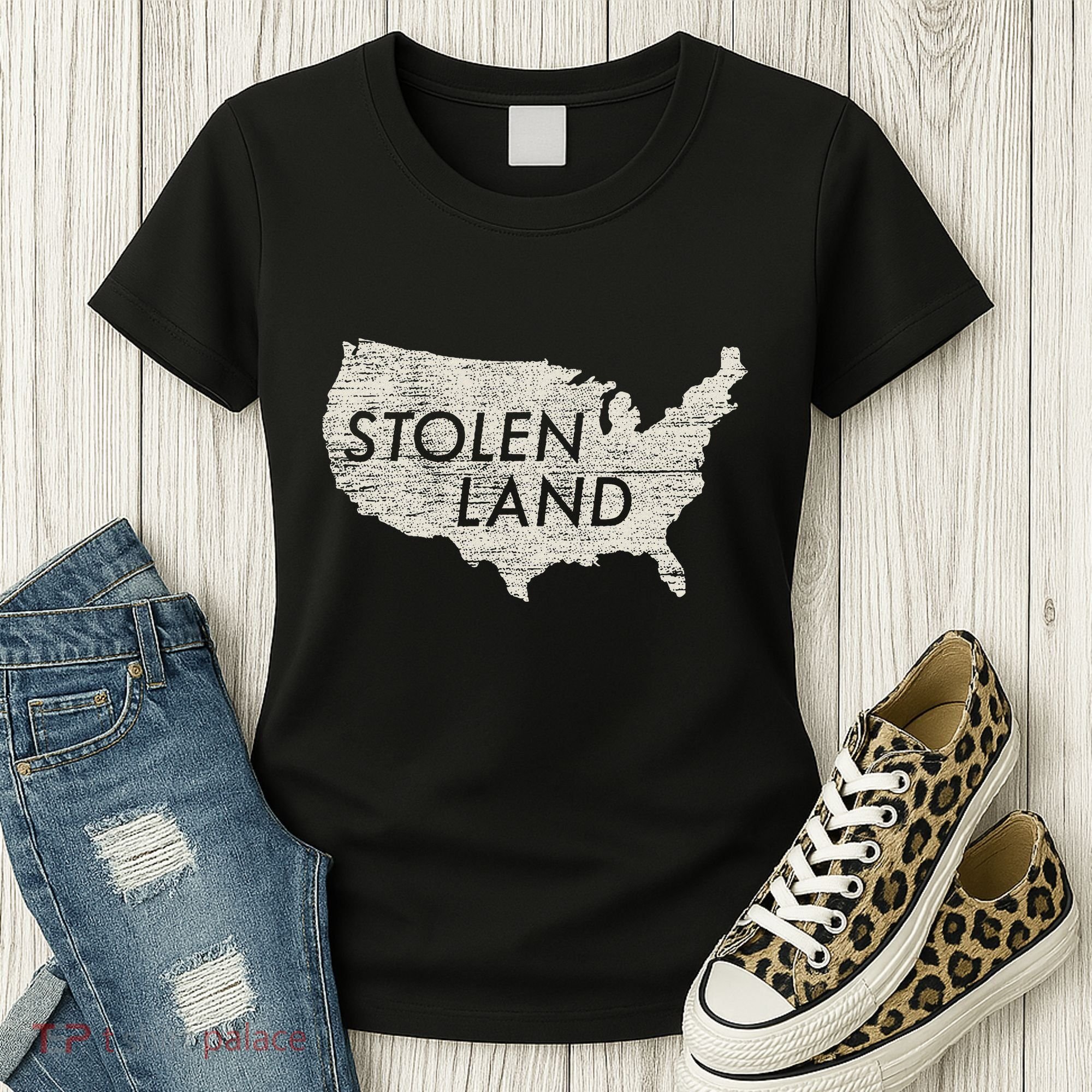 Stolen Land Native American Indigenous Women's T-Shirt