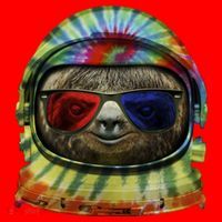 Sloth Astronaut 3D Santa Hat thumb 1