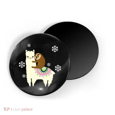 Magnet