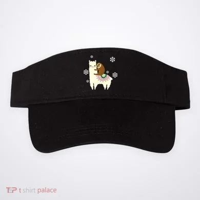Visor