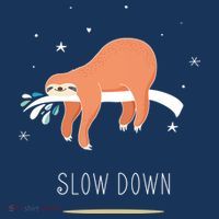 Sloth Slow Down Toddler T-Shirt thumb 4