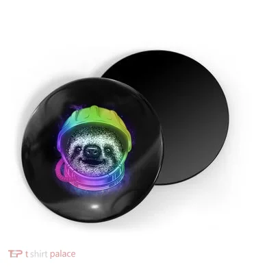 Magnet