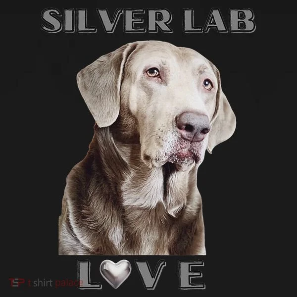Silver Labrador Retriever Dog Women's T-Shirt