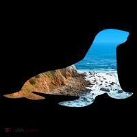 Sea Lion Seal Lovers Silhouette Earth Day And Ocean Week Gift Coffee Mug thumb 5