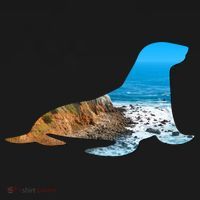 Sea Lion Seal Lovers Silhouette Earth Day And Ocean Week Gift Womens Funnel Neck Pullover Hood thumb 2