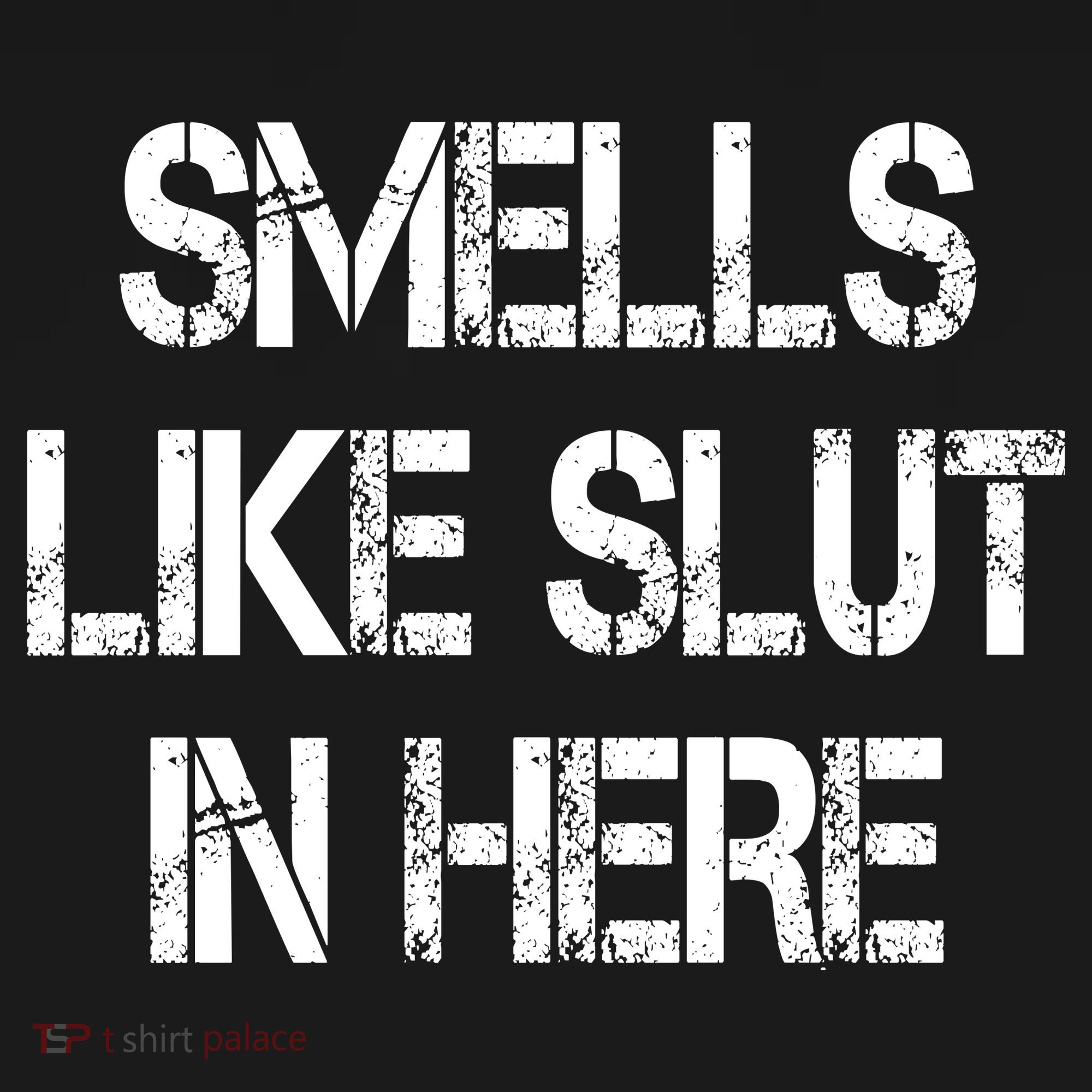 Smells Like Slut In Here Shirt Offensive Funny Humor Vintage T-Shirt