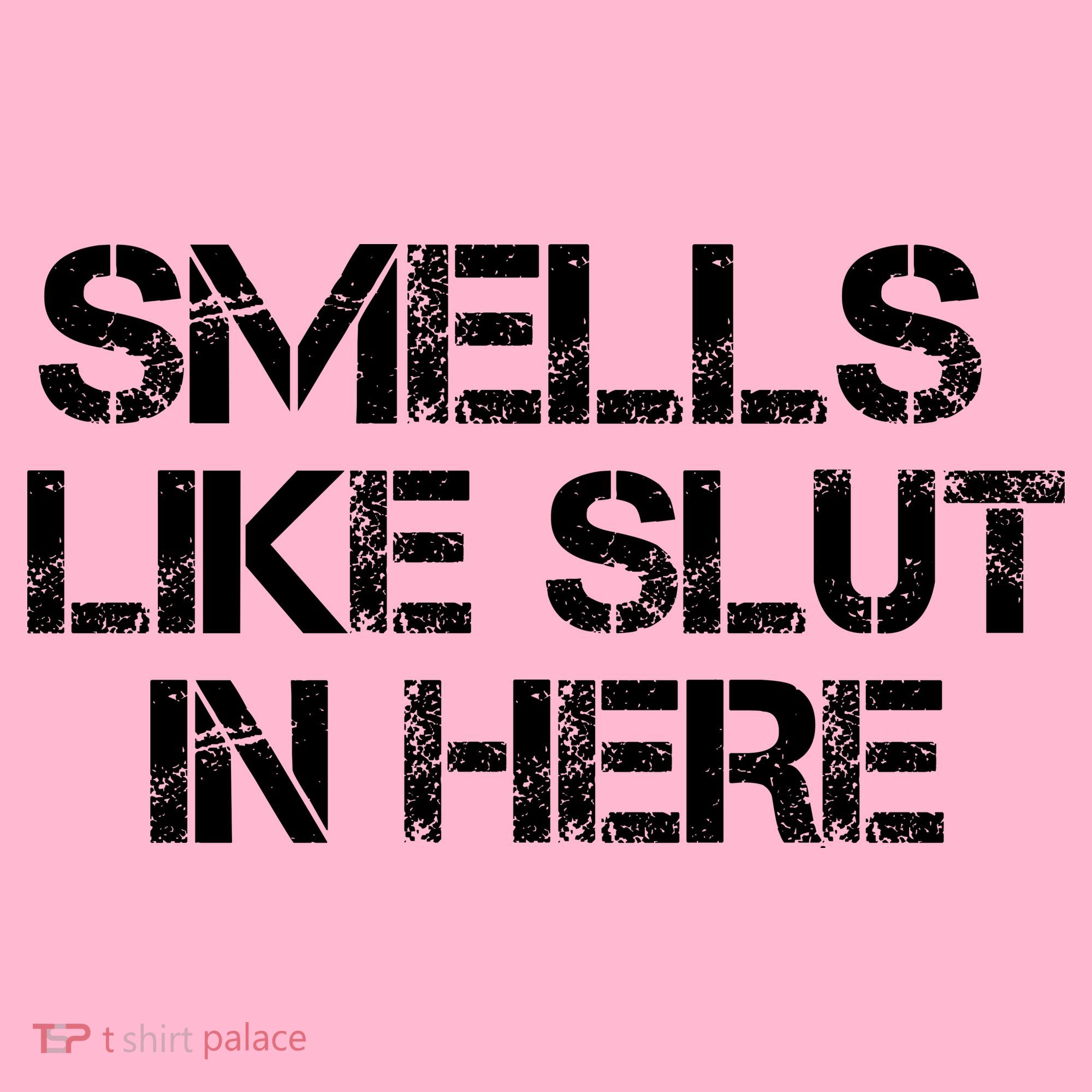 Smells Like Slut In Here Funny Coaster