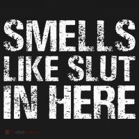 Smells Like Slut In Here Adult Humor Women's T-Shirt thumb 6