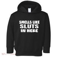 Smells Like Sluts In Here Funny Party Bbq College Frat Toddler Hoodie thumb 0