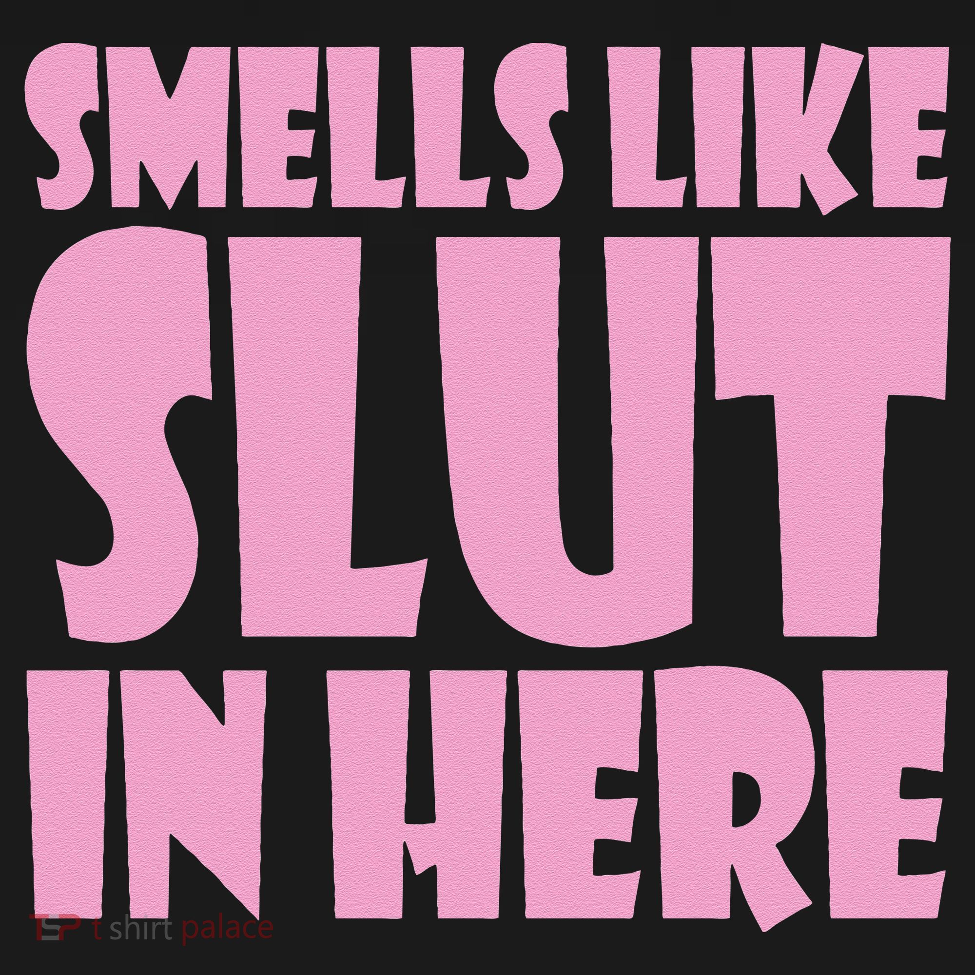 Smells Like Slut In Here Funny Sexy Offensive Adult Humor T-Shirt