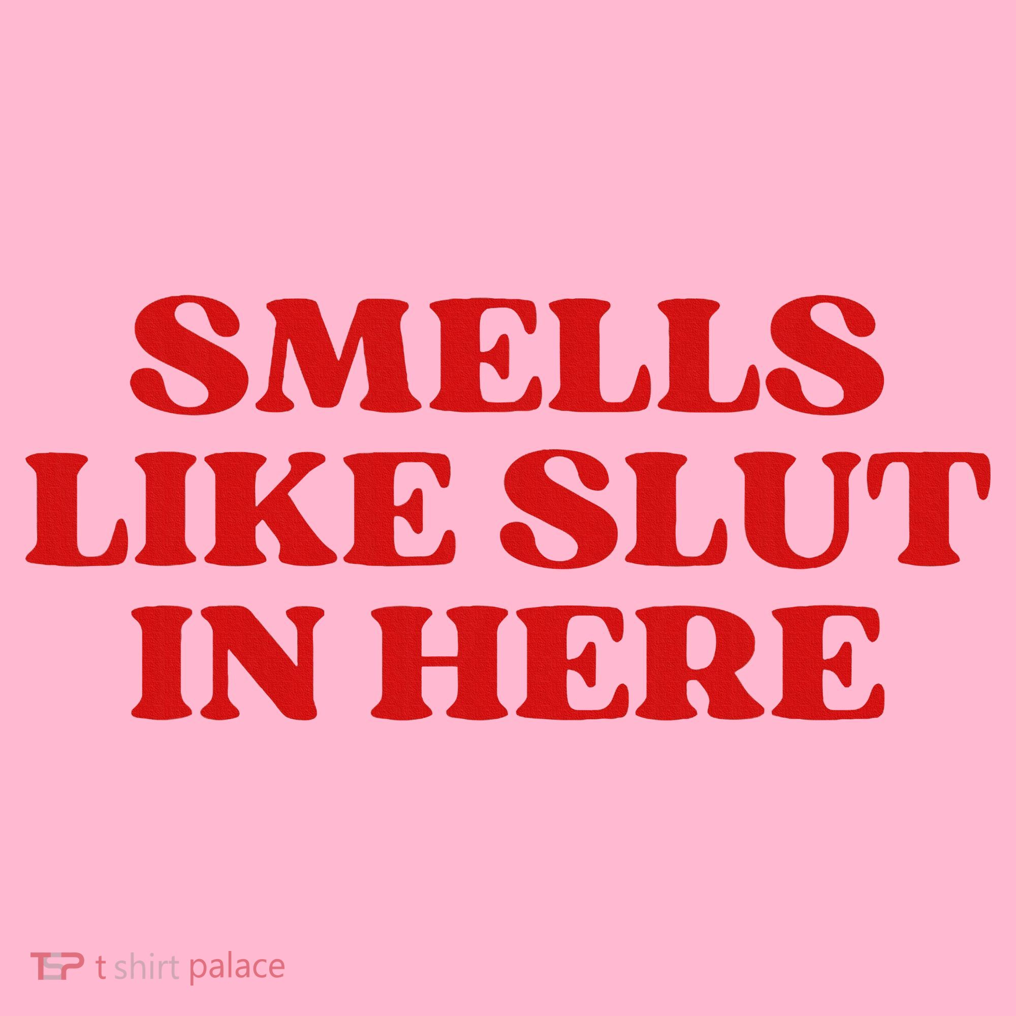 Smells Like Slut In Here Coaster