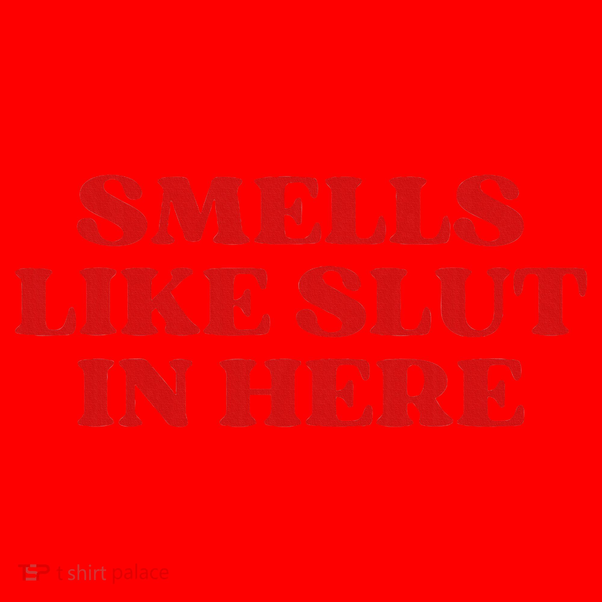 Smells Like Slut In Here Santa Hat