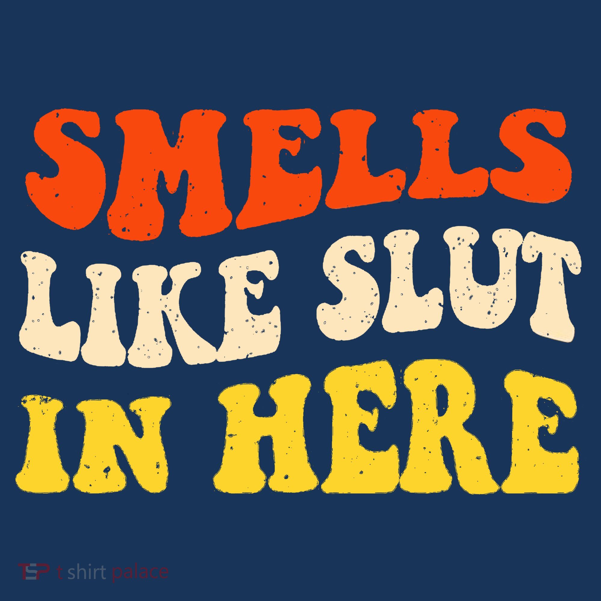 Smells Like Slut In Here Adult Humor Women's Hoodie