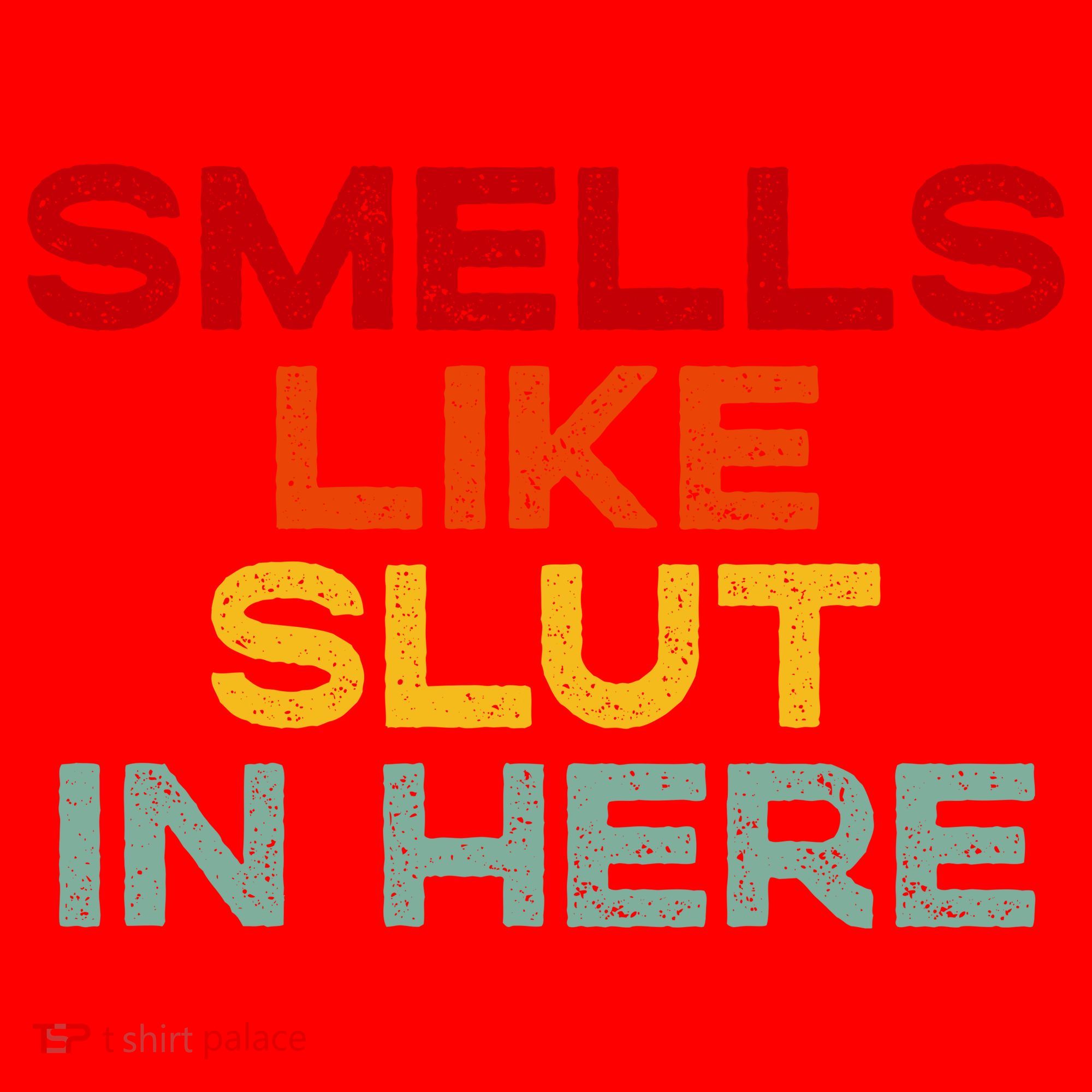Smells Like Slut In Here Funny Santa Hat