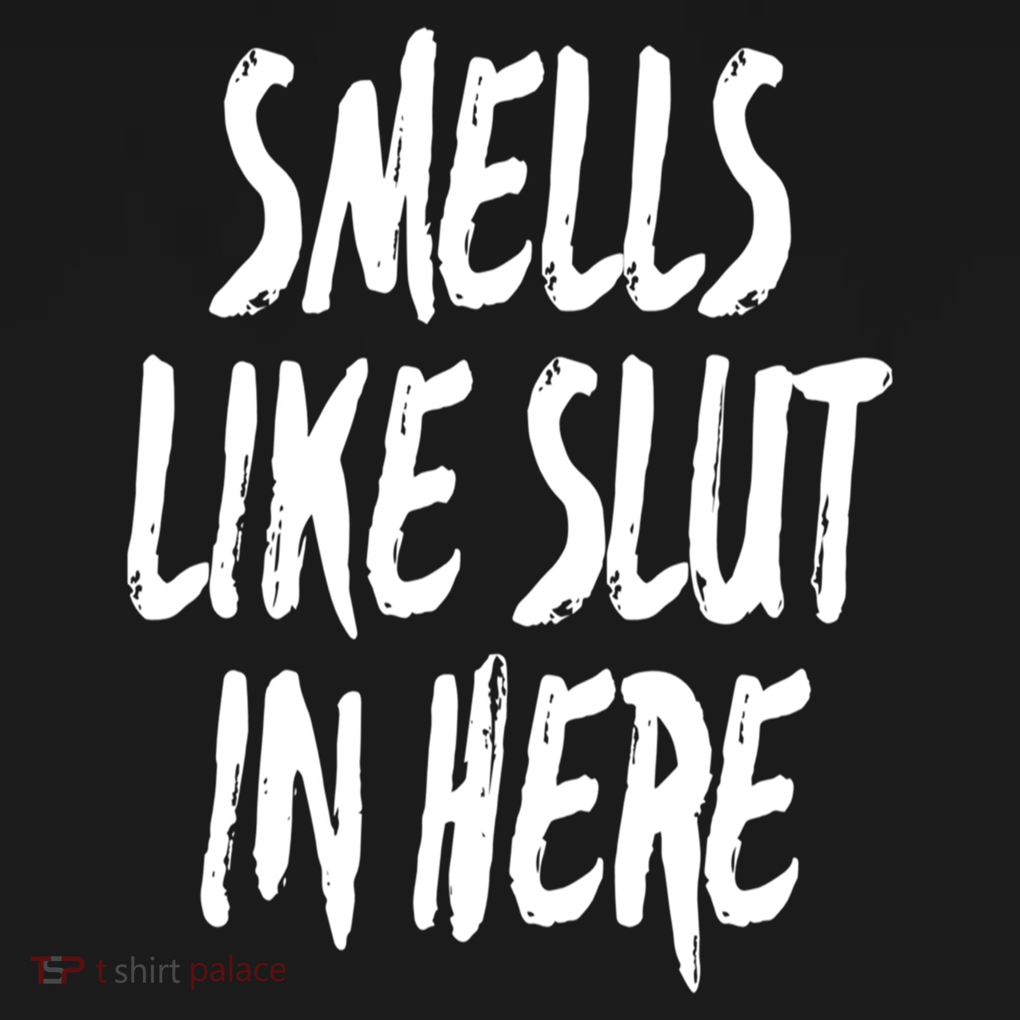 Smells Like Slut In Here Swinger Adult Humor Gift Long Sleeve Shirt