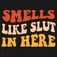 Smells Like Slut In Here Funny Sarcastic Women's T-Shirt thumb 6