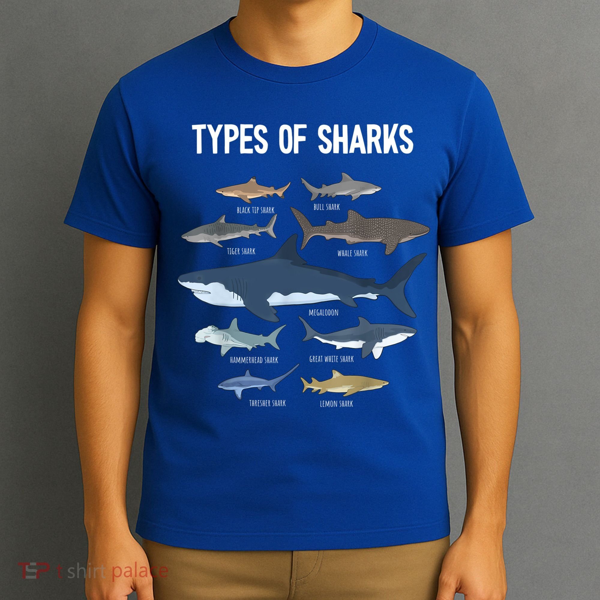 Shark Lover Shirt, Shark Lover Gift, Types Of Shark T-Shirt