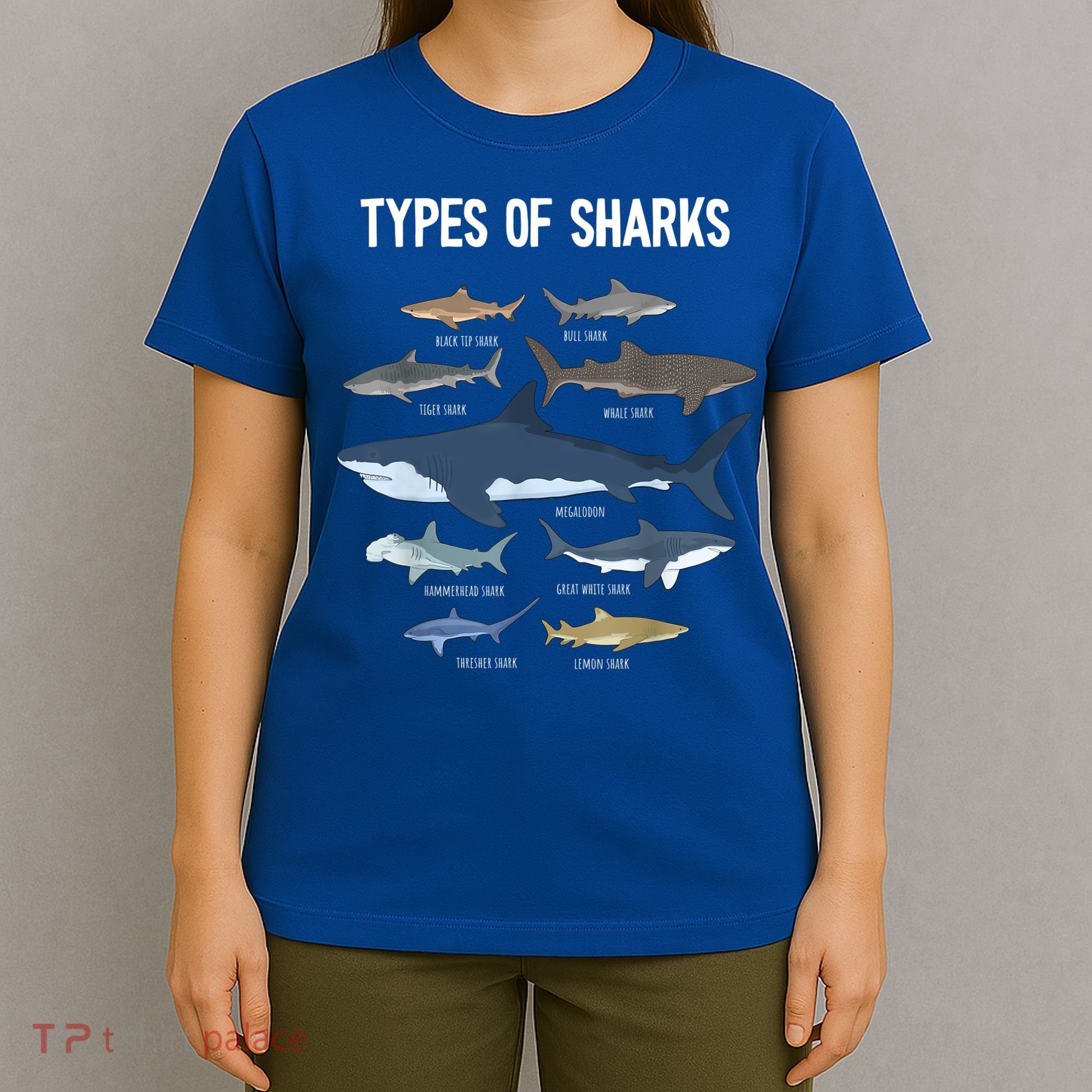 Shark Lover Shirt, Shark Lover Gift, Types Of Shark T-Shirt