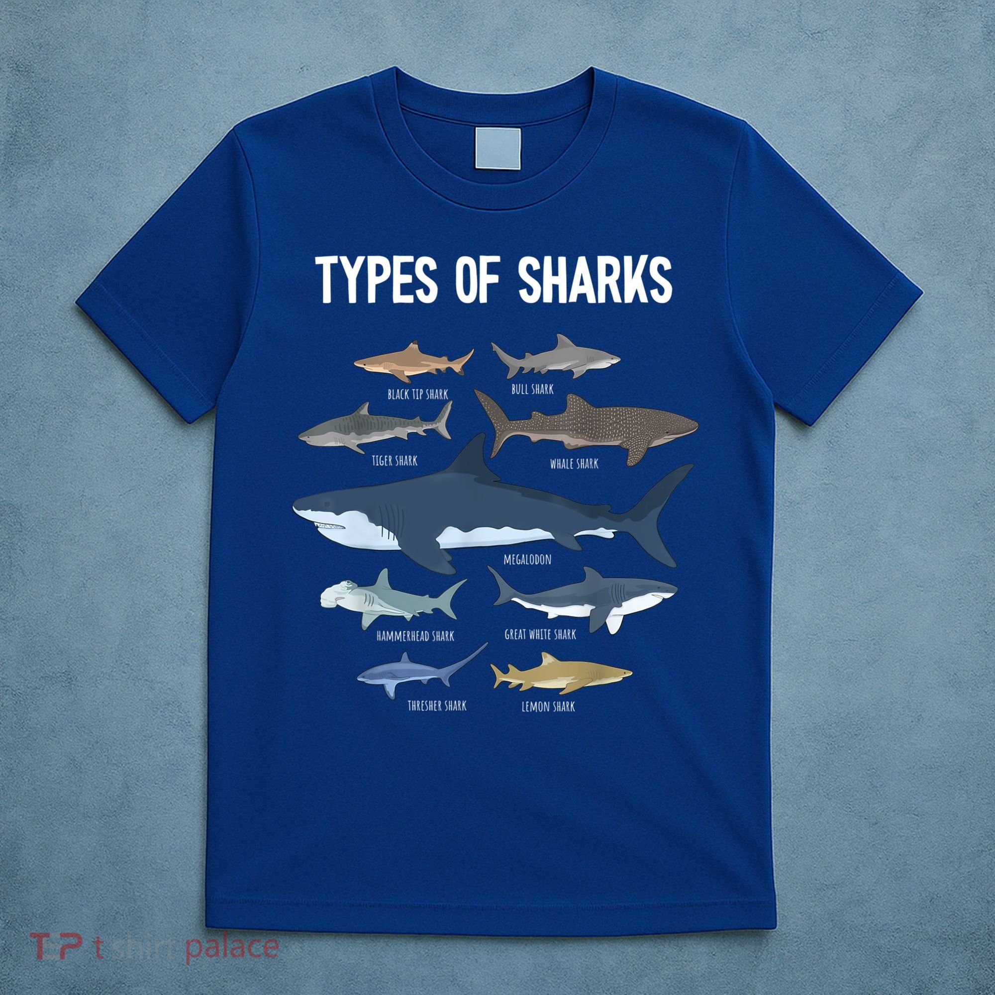 Shark Lover Shirt, Shark Lover Gift, Types Of Shark T-Shirt
