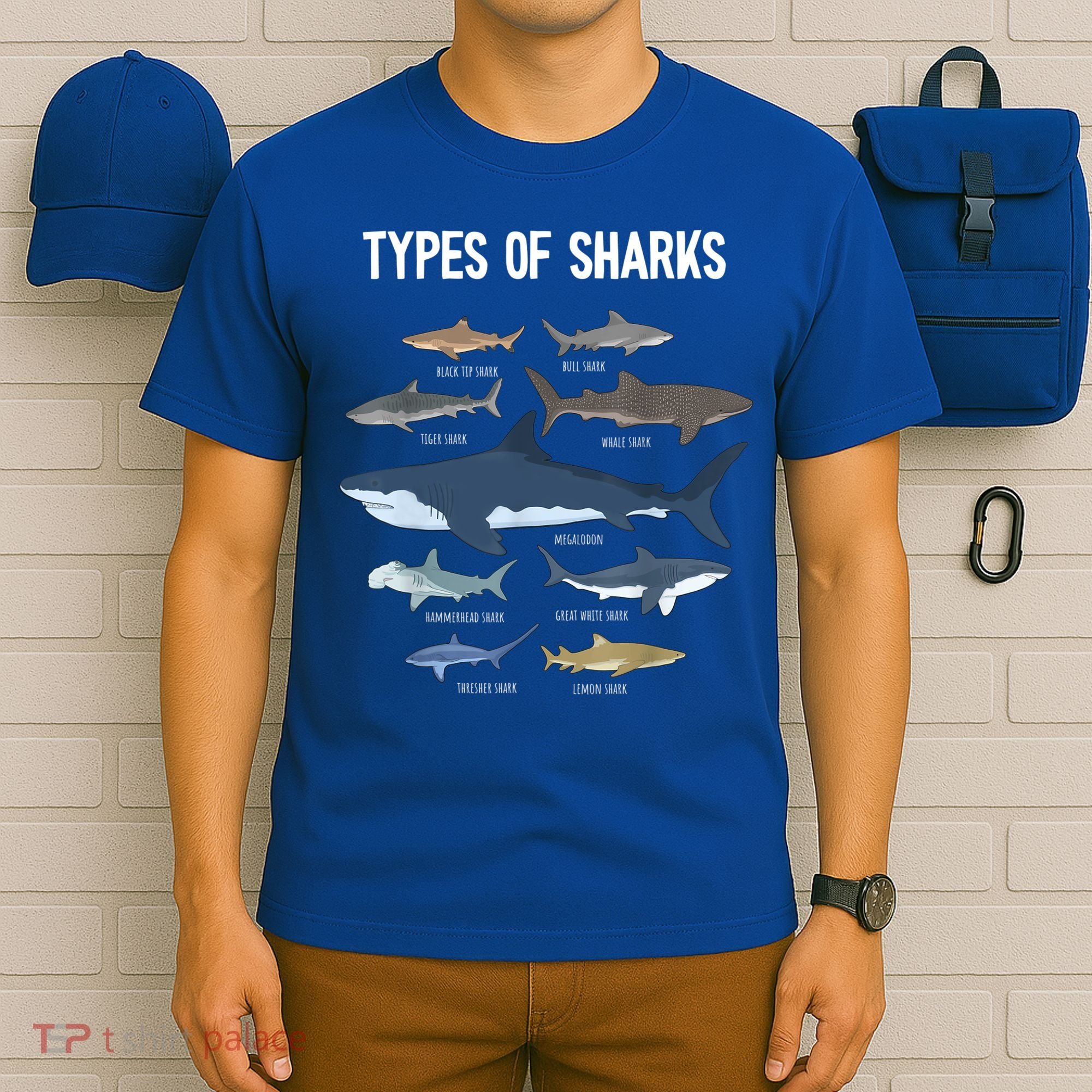 Shark Lover Shirt, Shark Lover Gift, Types Of Shark T-Shirt