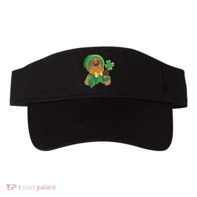 Visor