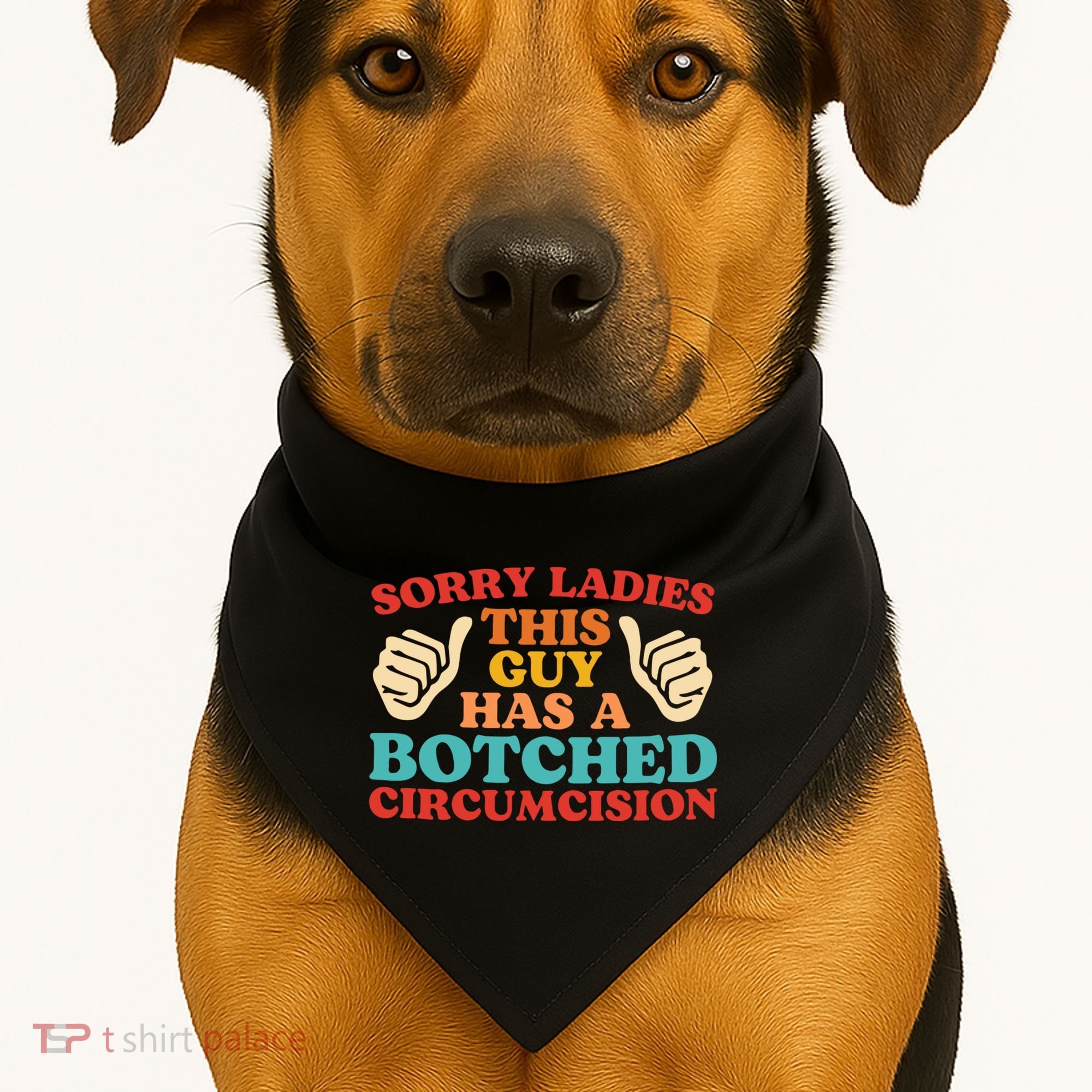Sorry Ladies This Guy Has A Botched Circumcision Retro USA-Made Doggie Bandana