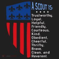 Scouting Law Us America Flag Scouting Law Gift Beanie thumb 2