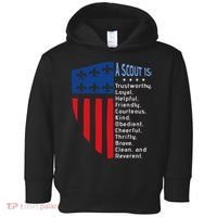 Scouting Law Us America Flag Scouting Law Gift Toddler Hoodie thumb 0