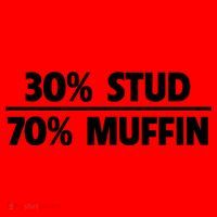 Stud Muffin 30/70 Funny Over 40 Dad Bod Gift Santa Hat thumb 1