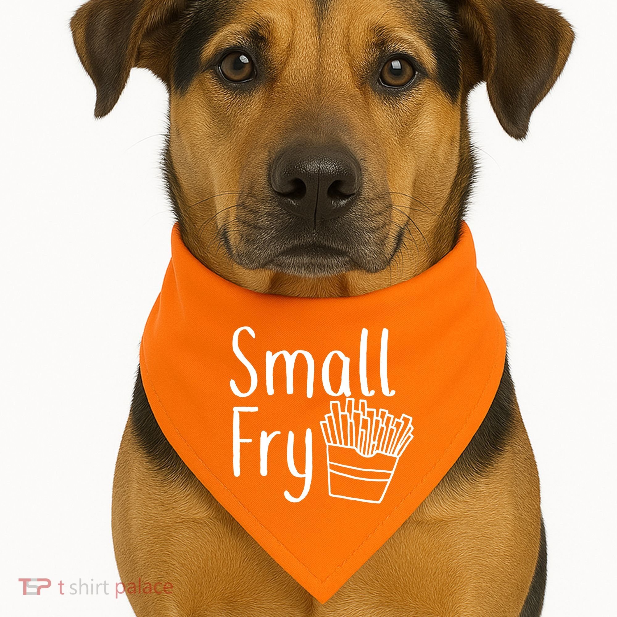 Small Fry USA-Made Doggie Bandana