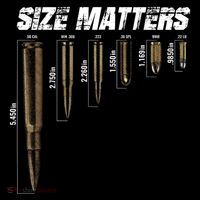 Size Matter Bullet Measure Up Ornament thumb 1