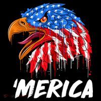 Sweet Merica Ball Eagle Ornament thumb 1