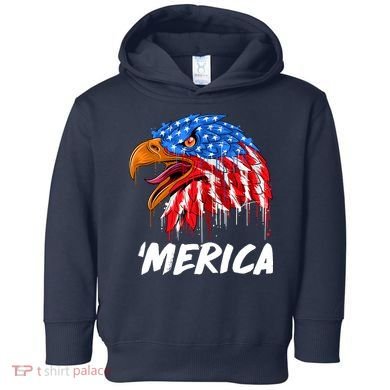 Sweet Merica Ball Eagle Toddler Hoodie