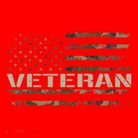 Soldier Military Camo Veteran American Flag Santa Hat thumb 1