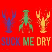 Funny Mardi Gras, Suck Me Dry, Mardi Gras Crawfish, Mardi Gras, Mardi Gras Santa Hat thumb 1