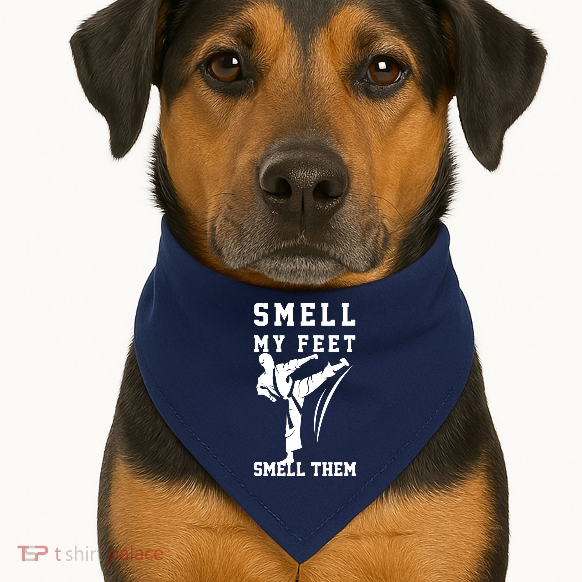 Smell My Feet Funny Taekwondo USA-Made Doggie Bandana